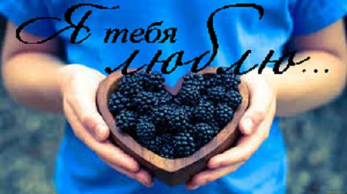 mediafile1.ashx