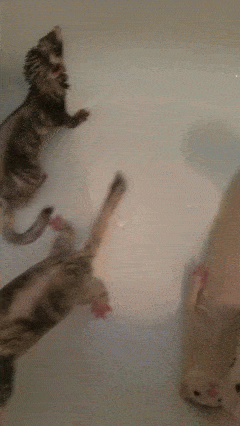 1111111111111111111111111111111