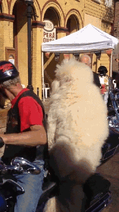 1444291322_1884634864