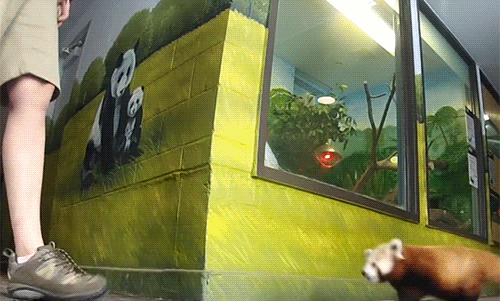 053c66440c07ce750ec1eed2fd0