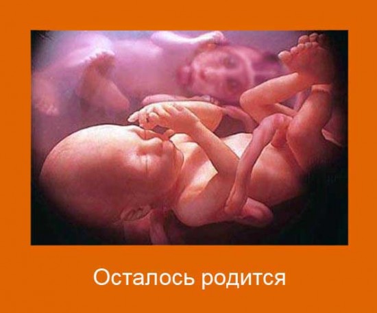 аблизяна1Ж