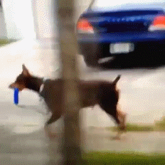 dbb07122b829ab6509ee93f991e