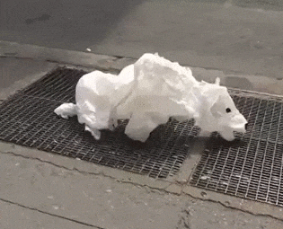 1444297659_2075117935