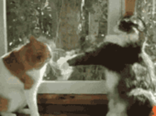 1444421331_471565496