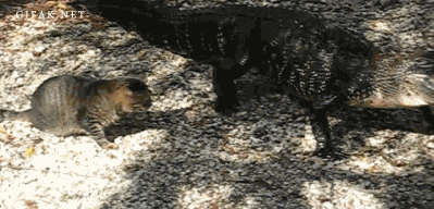 1444417860_139749453