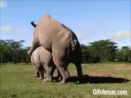 -gif-прикол-песочница-771353