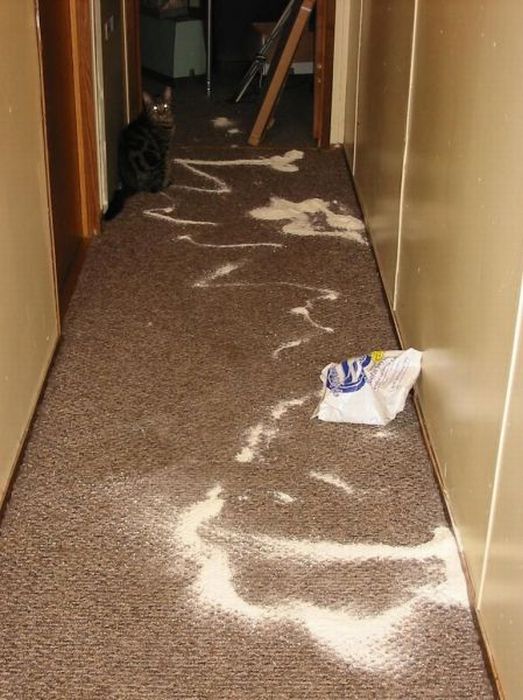 1285146423_podborka_84