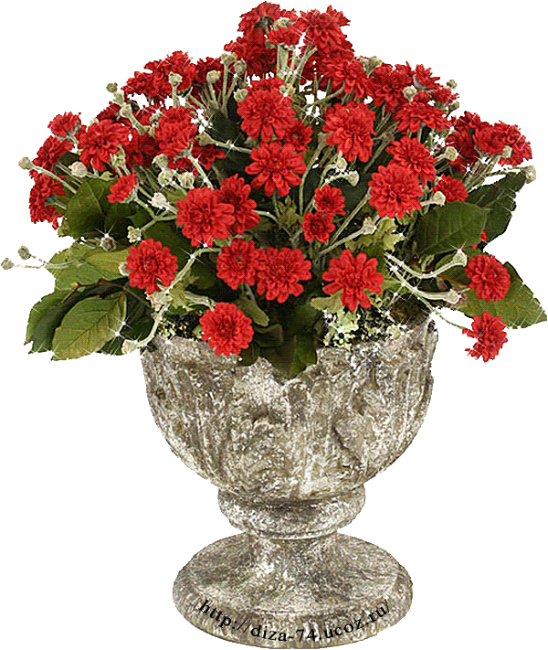 img_c939074352b092b0201615adfabecaf8 (1)