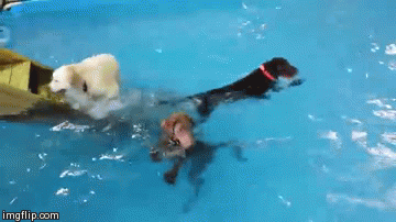 i am confused....... - Imgur