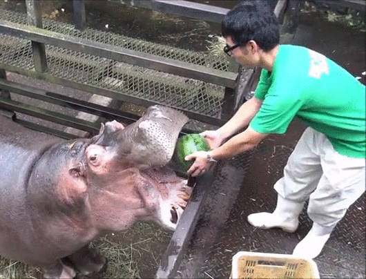 f772235c678eecdcd65a043447b