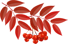 125188485_0_136fa5_fdf215c6_origx