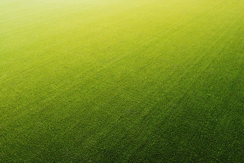 Gras_Texture_Stock_4_by_Sed_rah_Stock