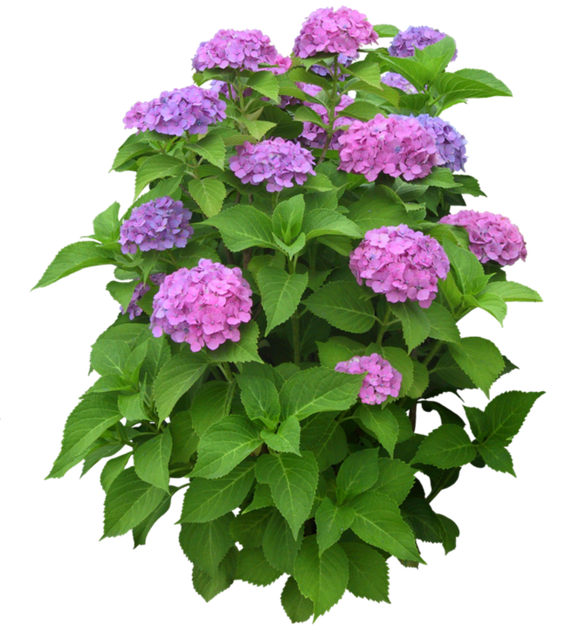 215189113_w640_h640_62848967_1282080940_01