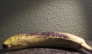 https__vk_com_gif_fak (1)