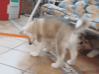 tumblr_nwfhz2yCkC1s02vreo2_400