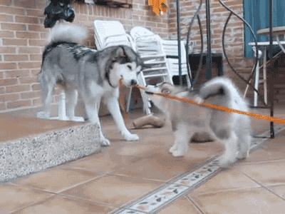 tumblr_nwfhz2yCkC1s02vreo4_400