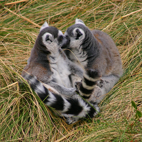 238052064_686dc2116e