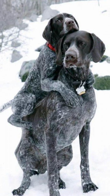 1445506275_1916390869