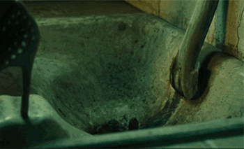 -то-пошло-не-так-змея-приношу-свои-извинения-песочница-