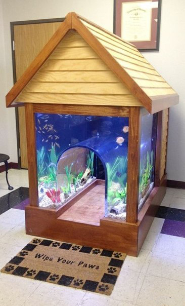 1445630020_1328670989