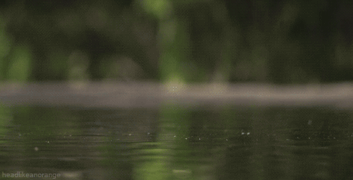 gifs_13