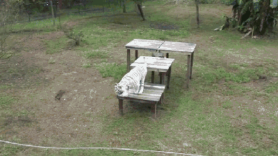 1445759813_566901541