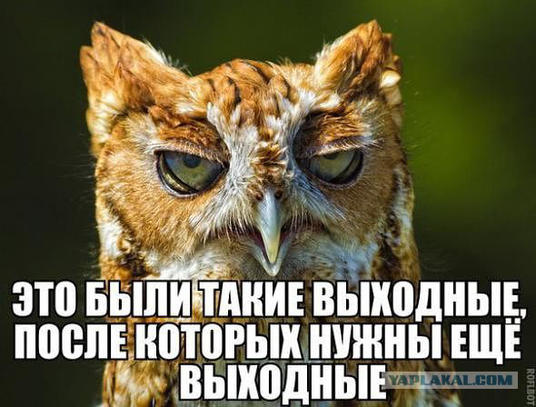 PicsArt_1445848349993