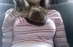 tumblr_nwkskoqkK81tyncywo1_250