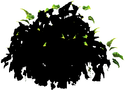 plantpsd415547kb49100