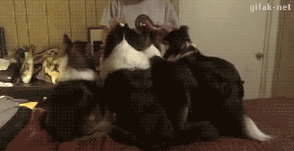 tumblr_nwvcjf2E3D1s2yegdo1_500