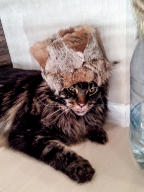 IMG_20150427_180356-2