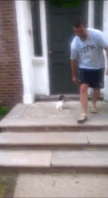 tmp_d9cbe55a499ccc731c1d9bc8a1ad282a