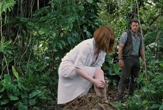 6510fe690ae3d74879849548337