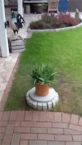 1446293052_585304033