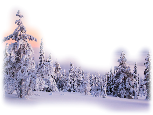 mod_article24829035_4