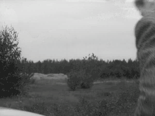 и страх и ненависть