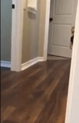 6456