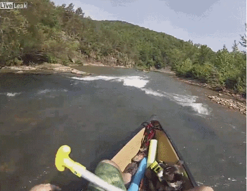 ee372e2aed4bf2fcc9a74528f9c