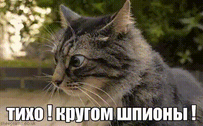 палево