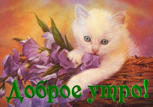 доброе утро