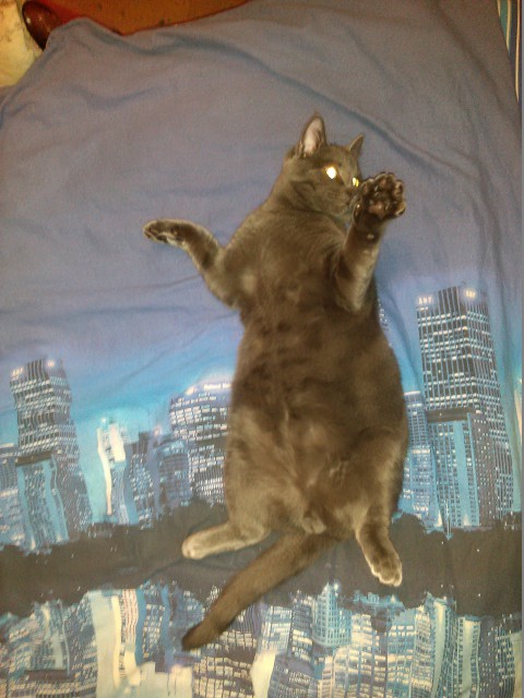 20150122_213739_Android