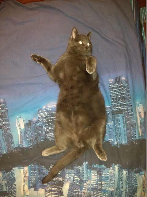 20150122_213746_Android