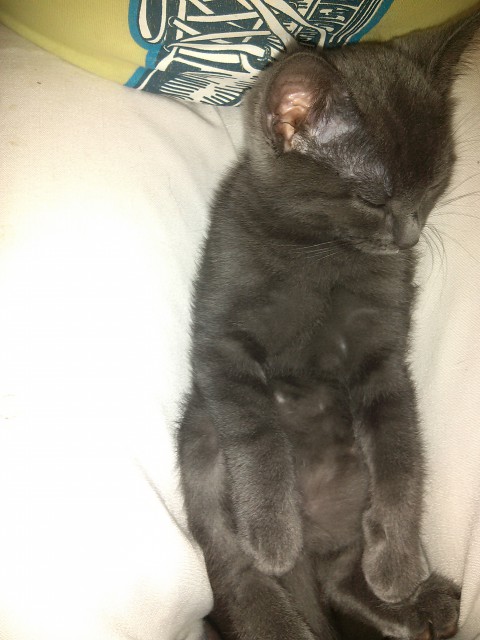 20141010_230627_Android