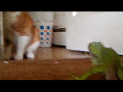 1447002245_1101825844