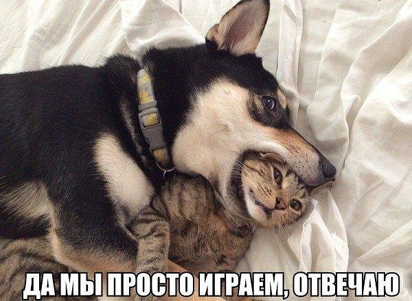 мы просто играем