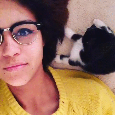 -котэ-поцелуй-охота-2578718