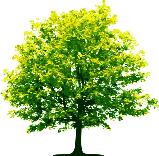 tree_PNG224.1png