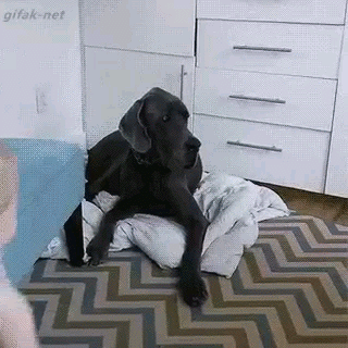 МЕСТО