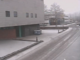 just_vid (1)