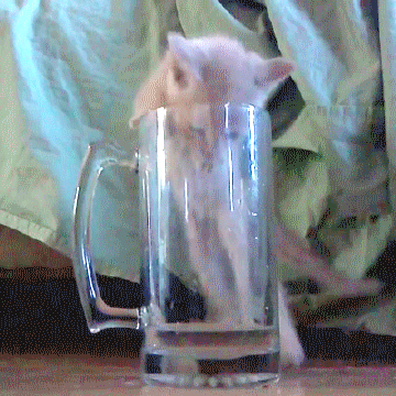 -песочница-котэ-2585264